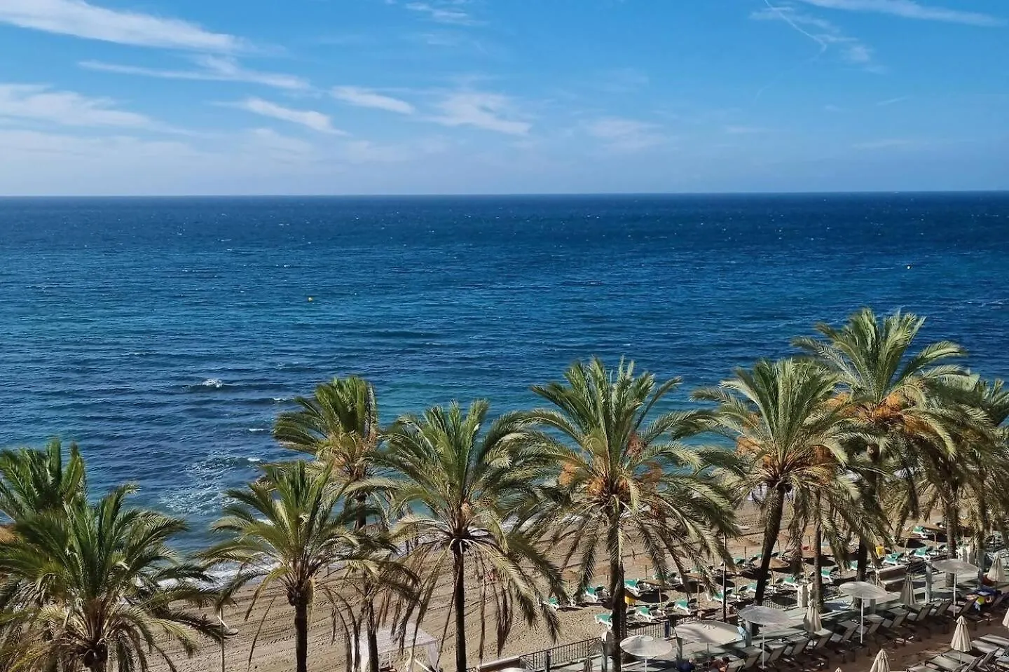 Palm Beach Marbella Apartamento contacts